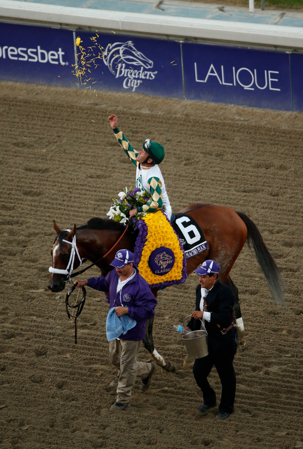 Mucho Macho Man and Gary Stevens after their win in the 2013 Breeders' Cup Classic. Photo: Breeders' Cup/Todd Buchanan 2013.