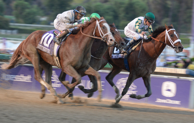 Mucho Macho Man edges out Will Take Charge and Declaration of War to win the 2013 Breeders' Cup Classic. Photo: Breeders' Cup Ltd./Weasie Gaines 2013.