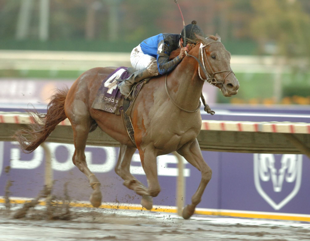 Curlin and jockey Robby Albarado win the 2007 Breeders' Cup Classic on a sloppy track at Monmouth Park. Photo: Breeders' Cup.