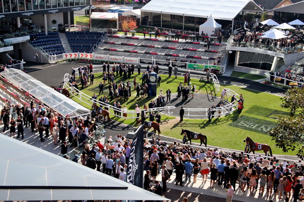 A crowd gathers near the paddock on the 2014 Longines Queen Elizabeth Stakes day at Royal Randwick Racecourse. Photo: Longines.