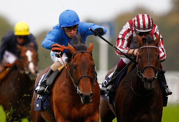 Farhh crosses the finish line in the 2013 QIPCO Champion Stakes right before Cirrus Des Aigles and Ruler Of The World. Photo: Alan Crowhurst/Ascot Racecourse.