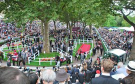 The global interest that makes the Arc an asset for French racing