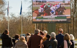 Arqana's new racing clubs point to a possible way forward for French racing