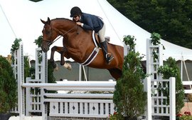 True to her roots, hunter-jumper Croll keeping focus on Thoroughbreds