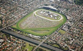 Drawing the world to the Cox Plate