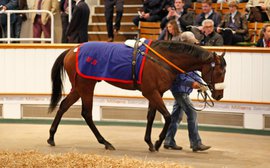 Tattersalls Craven Sale holds position in increasingly selective market