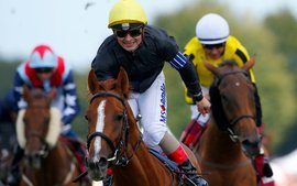 Which jockeys, trainers and sires stand out at Glorious Goodwood?