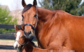 Transformed by parenthood: fiery Lady Eli is now a gentle, nurturing mother