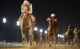 Four absolute certainties about Arrogate … or are they? 