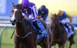 Minding heads an all-star entry for Curragh's Pretty Polly Stakes