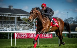 Why the Goffs UK breeze-up catalogue looks sure to appeal to international buyers