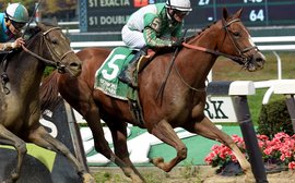 Salute three horses who have helped move New York breeding to another level