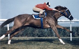 How Secretariat gave the Canadians something to remember for ever
