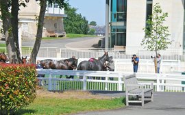 The trials and tribulations of a frustrated racing industry as France prepares for Classic action