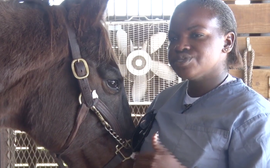 The all-action racehorse now playing a key role at a correctional institution