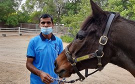 How ex-racehorses like this 31-year-old are still living life to the full in the heart of Dubai