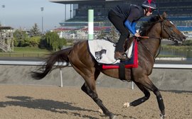 O'Meara hopes Mondialiste will show ‘his true self’ at Woodbine