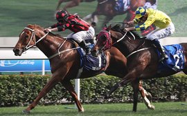 British breeding produces another star turn in Hong Kong