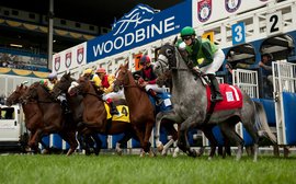 The latest moves in the battle to end Woodbine’s employment crisis
