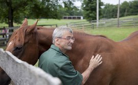 How ex-racehorses are playing a major role in the rehabilitation of offenders