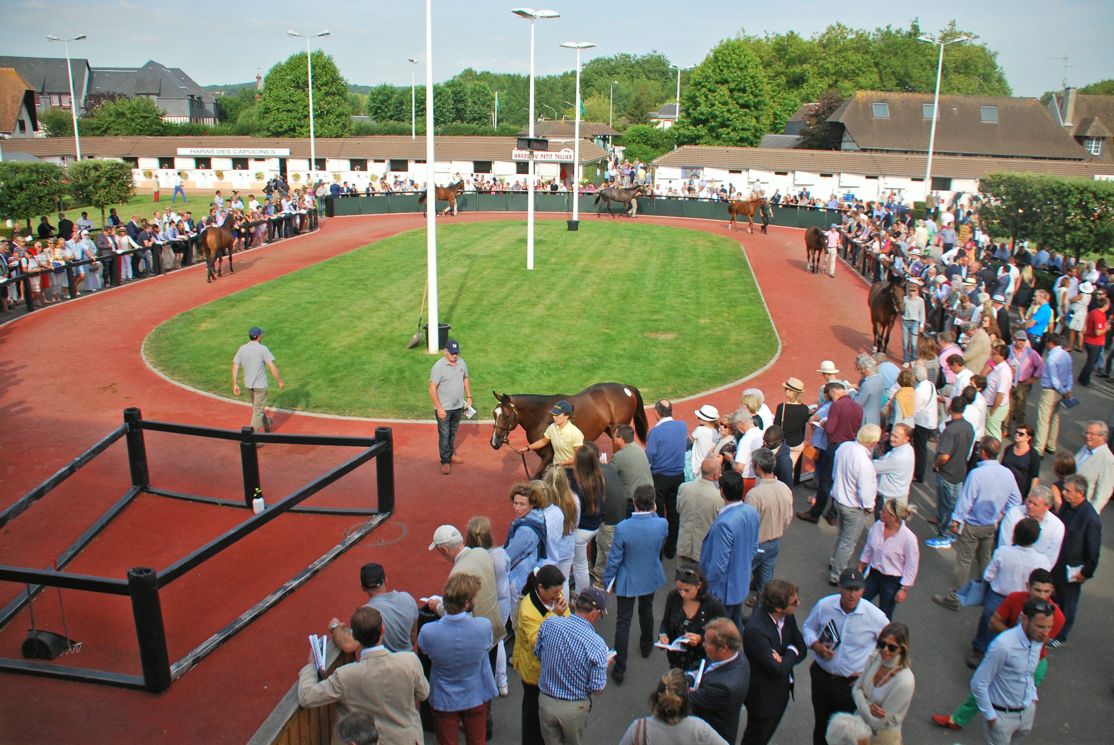 Yearlings are walked around the pre-parade ring at Deauville before going up for sale. Photo: John Gilmore