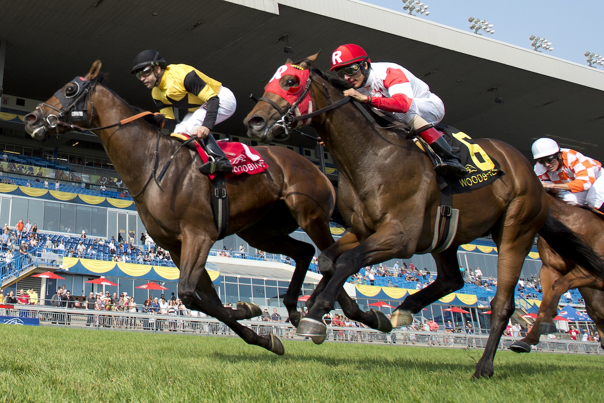 Untamed Domain takes the $200,000 Summer Stakes at Woodbine yesterday. Photo: Michael Burns Photography