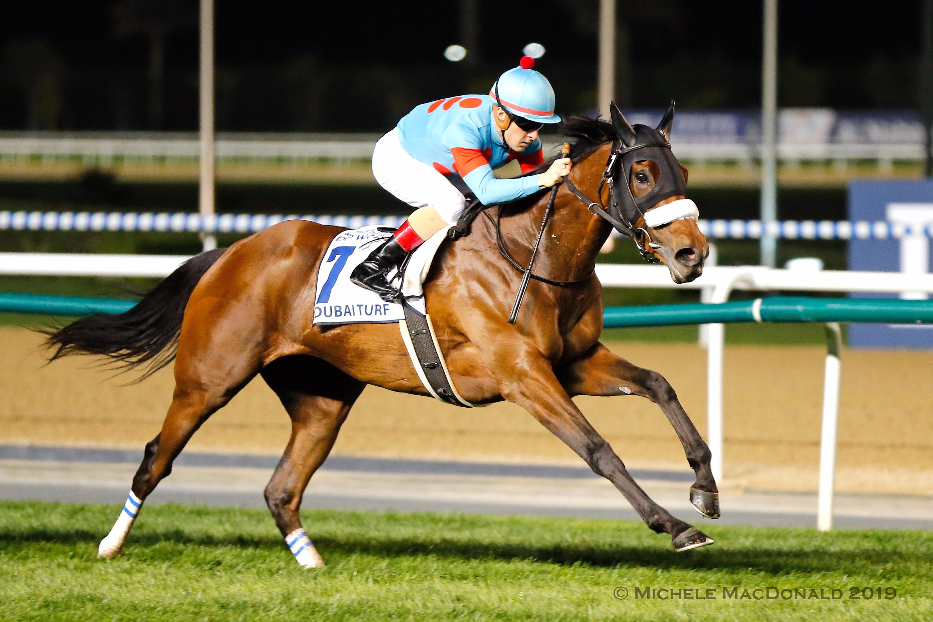 In a class of her own: Almond Eye (Christophe Lemaire) has the Dubai Turf firmly under control. Photo: Michele MacDonald