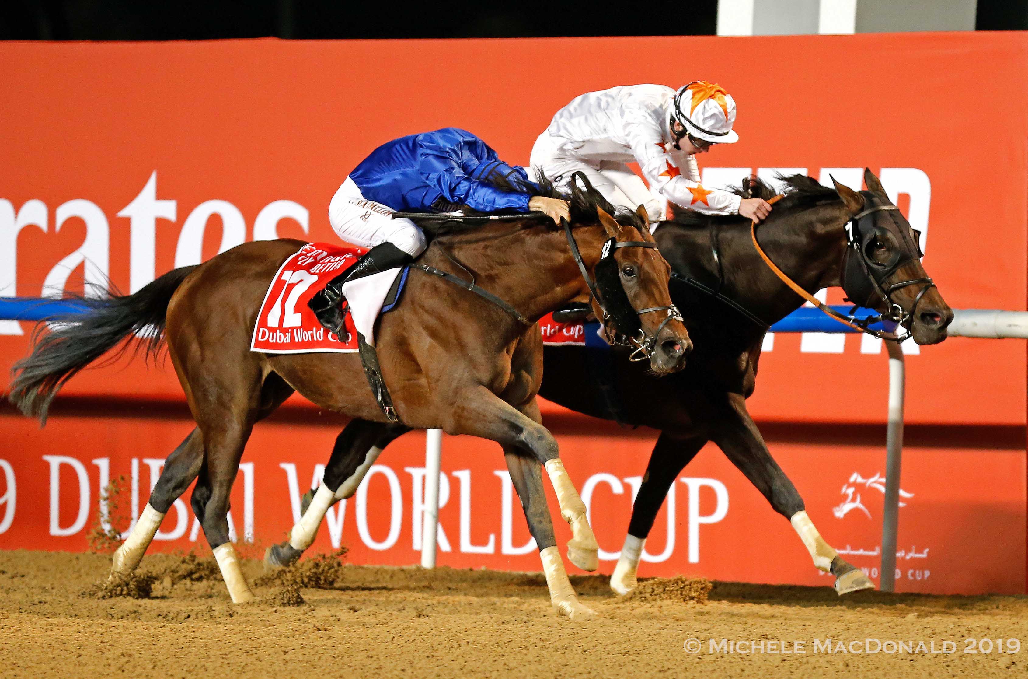 Never say die: Thunder Snow (near) refuses to yield to Gronkowski (Oisin Murphy) as they race to the wire in the Dubai World Cup. Photo: Michele MacDonald