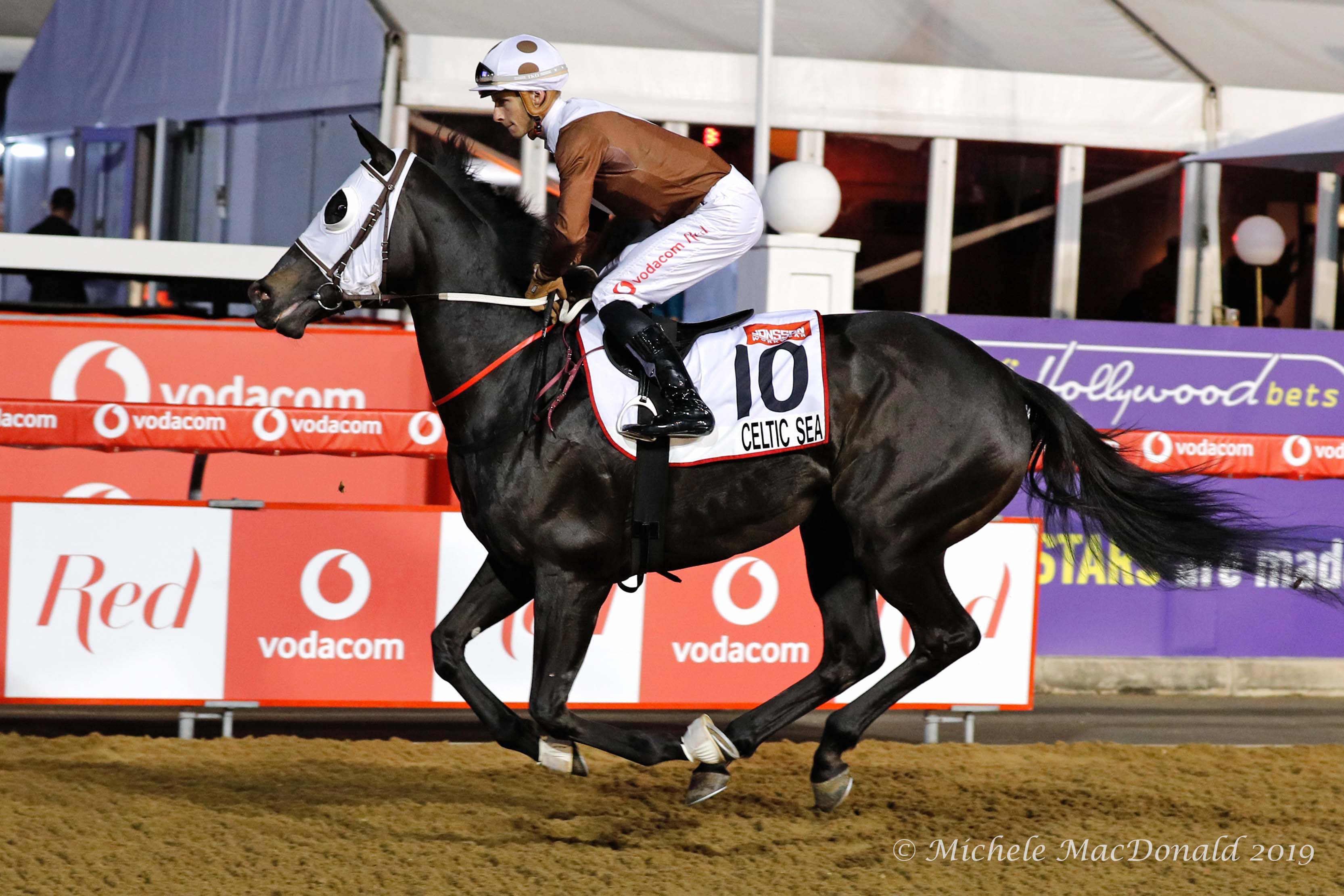 Grade 1 heroes: Lyle Hewitson on Celtic Sea in a warm-up gallop before winning the G1 Garden Province Stakes on this year’s Durban July card. The Captain Al filly is trained by South Africa’s multi-champion Sean Tarry and owned by Antony Beck, who also owns Gainesway Farm in Kentucky. Photo: Michele MacDonald