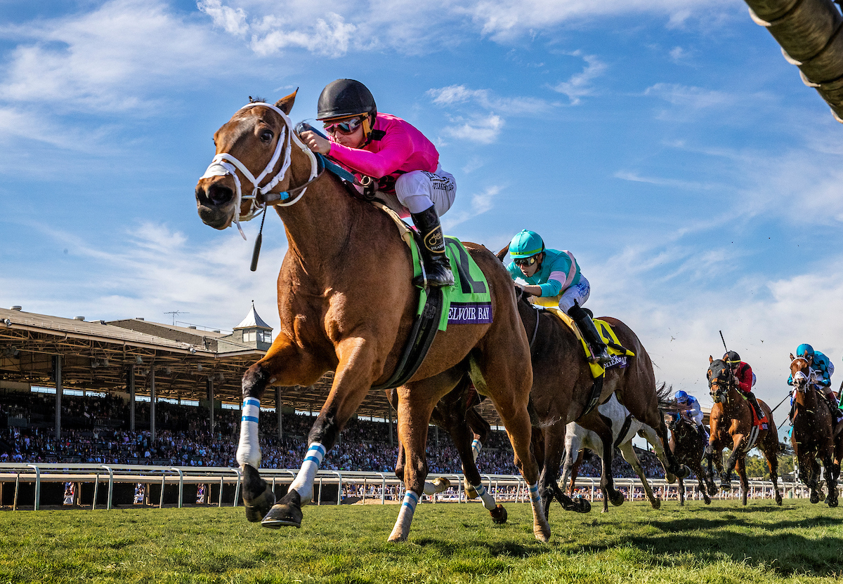 A star discovered: the British-bred Belvoir Bay, bought by Team Valor as a 2-year-old running in the UK, wins the Breeders’ Cup Turf Sprint at Santa Anita last November. Photo: Alex Evers/Eclipse Sportswire/CSM/Breeders’ Cup