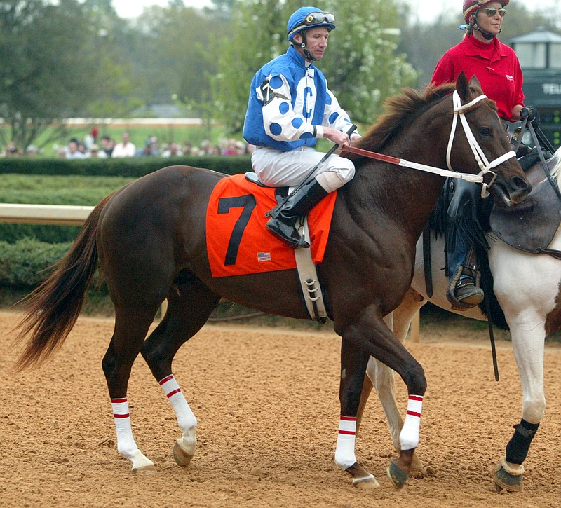 Smarty Jones and Stewart Elliott go postward at Oaklawn Park for the Rebel Stakes. Photo courtesy of Oaklawn