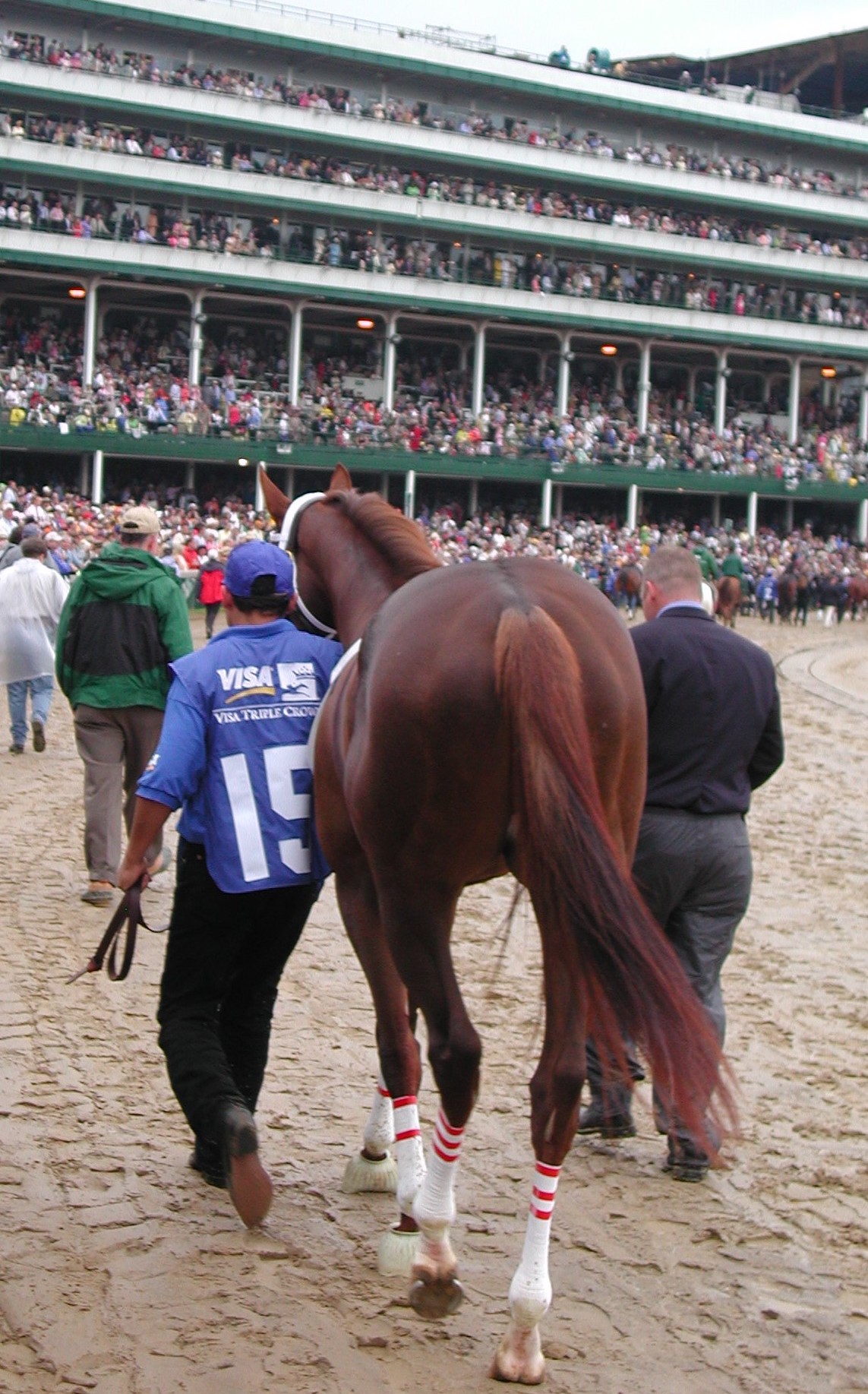 The whole racing world was watching as Smarty Jones walked over for his date in the Kentucky Derby. Photo: Jay Hovdey