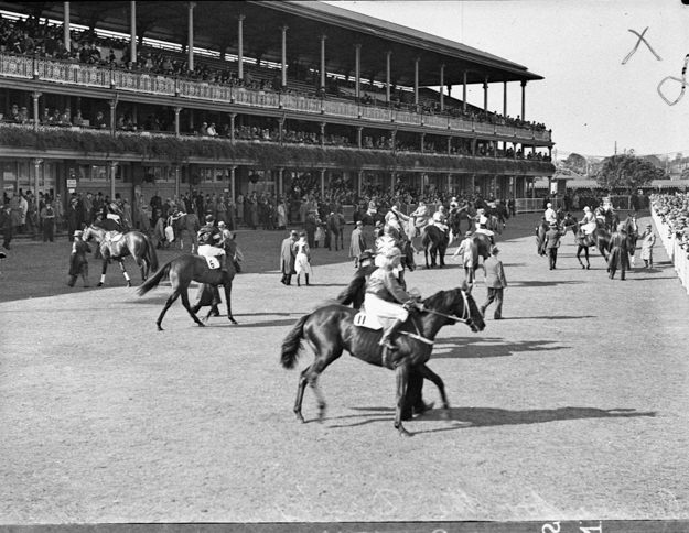 Horses in the Mounting Yard in front of the Members’ Stand, extended 1907-14. Credit State Library of New South Wales