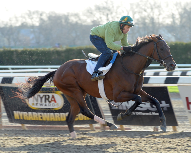 Paine and Samraat at Aqueduct. Photo: NYRA/Susie Raisher.