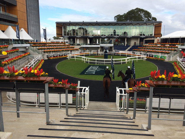 Theater of The Horse at Royal Randwick. Photo: Jessica Owers