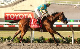Late starts for 2-year-olds affecting strength of G1 staples