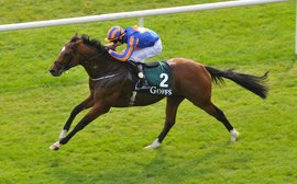 Memories of Giant's Causeway as a potential new Coolmore star is readied for classic glory