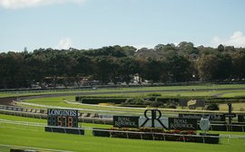 Taxman slugging NSW racing, but for how much longer?