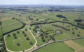 Sale Preview: NZB Highview Unreserved Deplenshing Sale