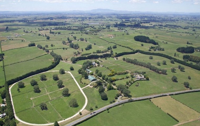 Sale Preview: NZB Highview Unreserved Deplenshing Sale