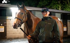 From Classic heroines to Royal Ascot winners: look no further than Ireland’s premier yearling sales