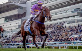 Nick Luck Daily: Do we have another Hong Kong superstar on our hands?