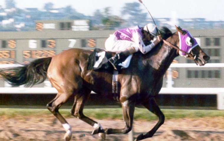 Ancient Title: 'There were so many times he took the breath away' | Topics: Ancient  Title, Jay Hovdey's Favorite Racehorses, Jay Hovdey, Laffit Pincay, Richard  Mandella | Thoroughbred Racing Commentary