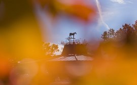 Sale Preview: Keeneland April Selected Horses of Racing Age Sale