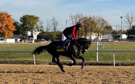 ‘This is a big deal to us’ – Claiming Crown gives regular horses their day in the sun