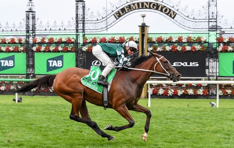 Thank you, Via Sistina: Australia’s mighty mare retired after 12 Group 1 wins