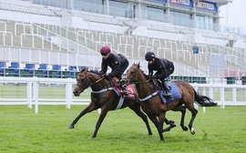 Derby gallops: what the trainers say as Dancing Gemini gets Epsom go-ahead