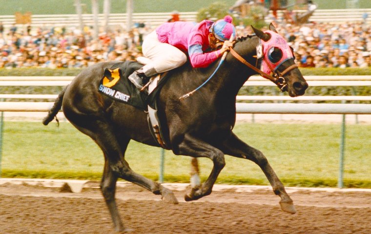 ‘The little black colt who humbled the best of his generation’ – Jay Hovdey on Snow Chief