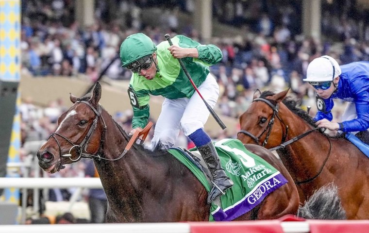 What’s been happening: Gezora switch, big ban for Jamie Melham, Frankel fee for 2026, Bahrain latest and more …