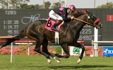 ‘Grace under pressure, time and time again … a horse who refused to lose’ – Jay Hovdey on Lava Man